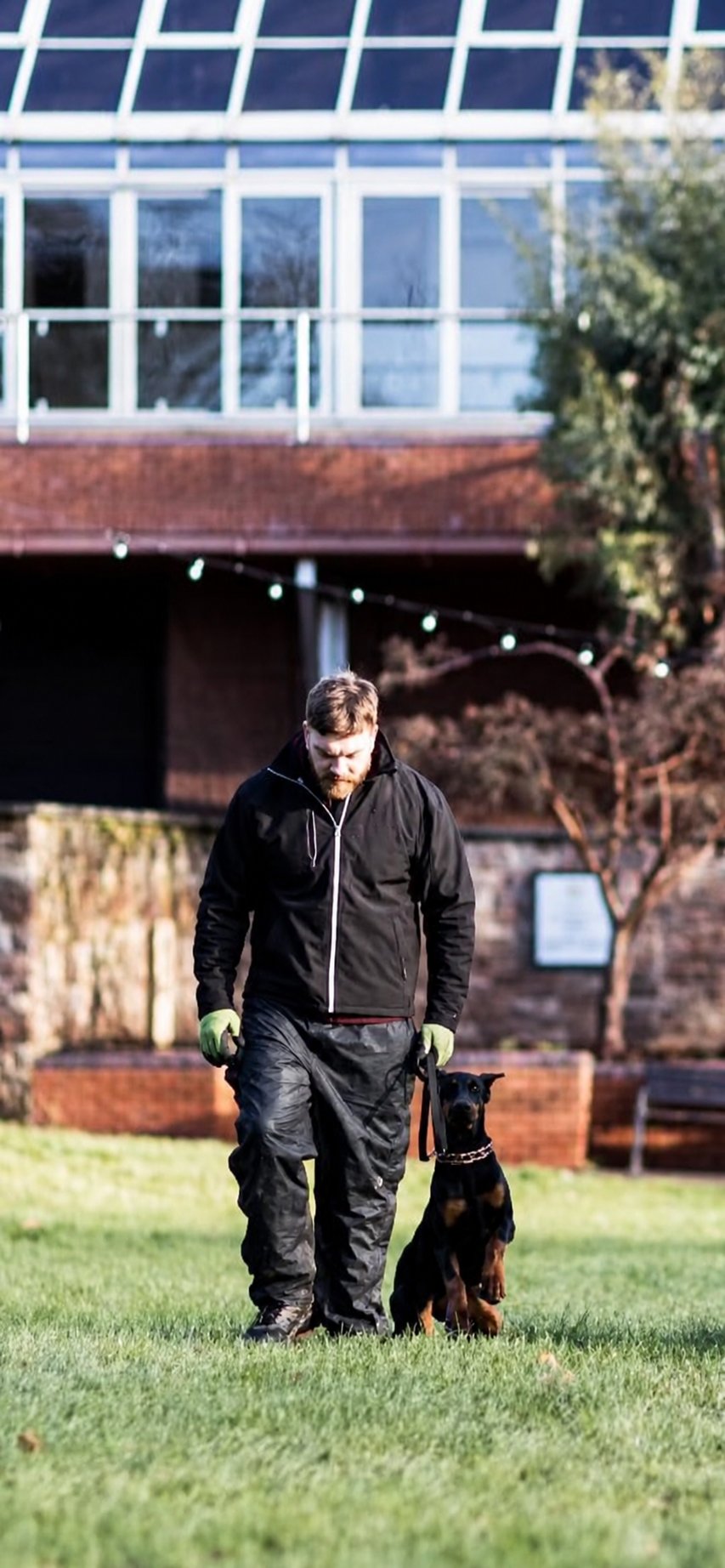 Scott Blair heeling a Doberman on grass in Edinburgh — Founder of Family First Canine